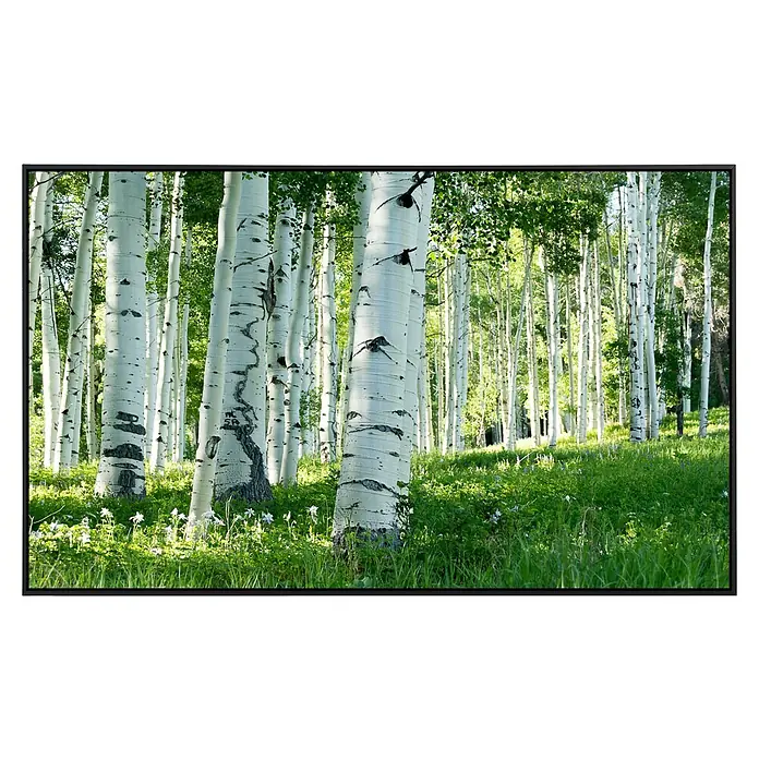 Papermoon Infrarot-Bildheizkörper Birkenwald 4 - 100 x 60 cm, 600 W - Vorderansicht
