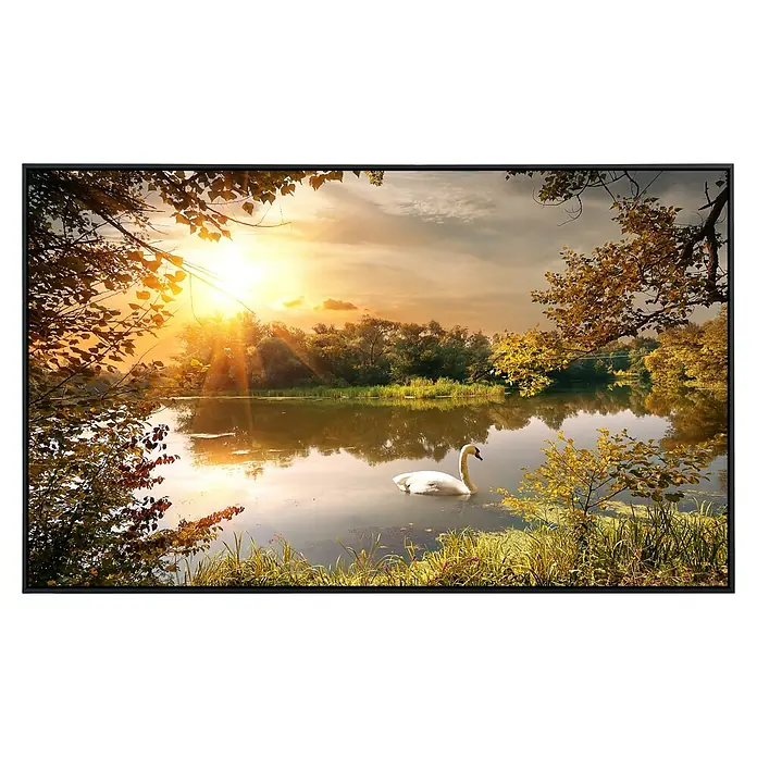 Papermoon Infrarot-Bildheizkörper Schwan am Teich - 120 x 60 cm, 750 W - Vorderansicht