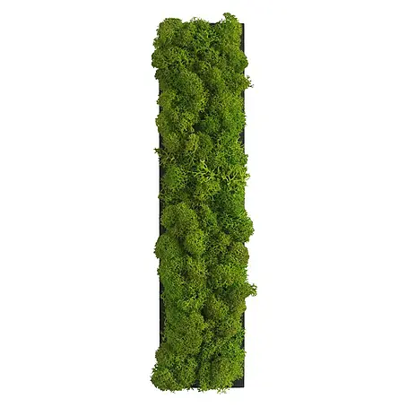 styleGreen  Wandobjekt Piktogramm