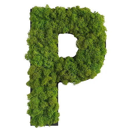 styleGreen  Wandobjekt Piktogramm