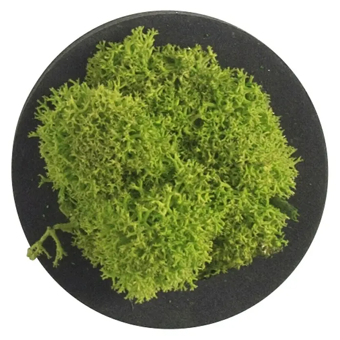 styleGreen Wandobjekt Piktogramm - Sonderzeichen Punkt, L x B x H: 4 x 3,5 x 4 cm - Draufsicht