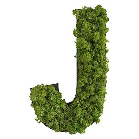 styleGreen  Wandobjekt Piktogramm
