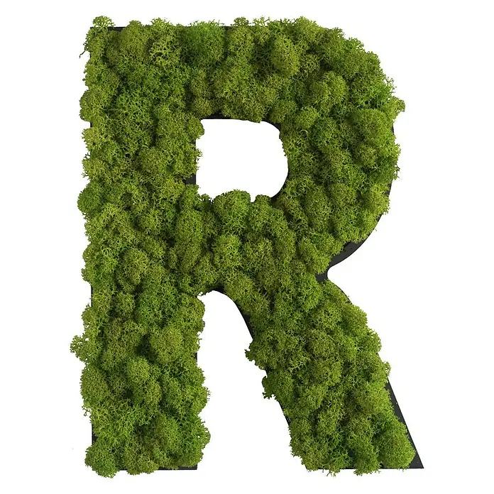 styleGreen Wandobjekt Piktogramm - Buchstabe R, L x B x H: 20 x 3,5 x 25 cm - Vorderansicht