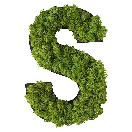 styleGreen  Wandobjekt Piktogramm