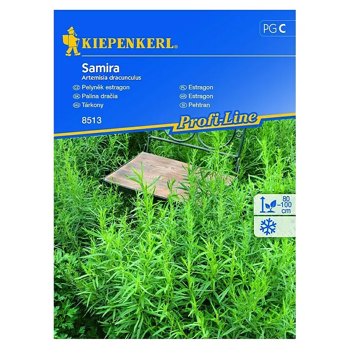 Kiepenkerl Sjeme povrća Estragon - Berba: Kolovoz - Pogled sprijeda