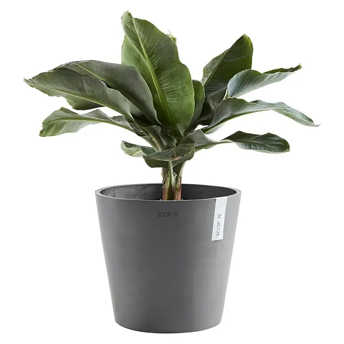 Ecopots Amsterdam Pflanztopf - Außenmaß (Ø x H): 40 x 35 cm, Kunststoff, Grau - Vorderansicht