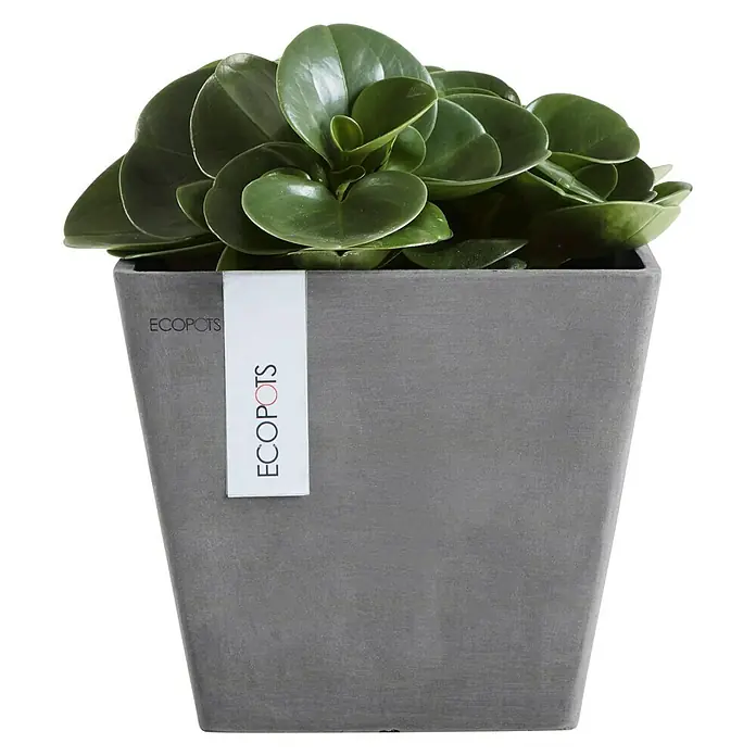 Ecopots Pflanzkasten Rotterdam - Außenmaß (L x B x H): 20 x 20 x 17,5 cm, Kunststoff, Grau - Vorderansicht