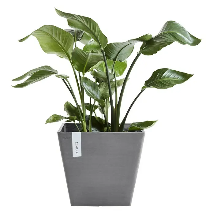 Ecopots Pflanzkasten Rotterdam - Außenmaß (L x B x H): 40 x 40 x 35 cm, Kunststoff, Grau - Vorderansicht