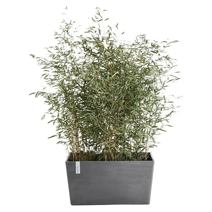 Ecopots Pflanzkasten Paris - Außenmaß (L x B x H): 60 x 26 x 40 cm, Kunststoff, Grau - Vorderansicht
