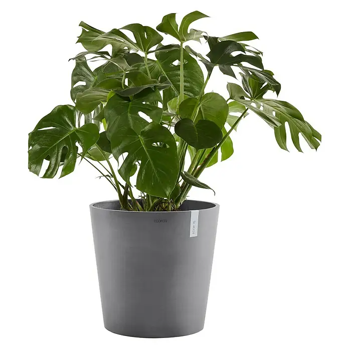 Ecopots Amsterdam Pflanztopf - Außenmaß (Ø x H): 50 x 44 cm, Kunststoff, Grau - Vorderansicht