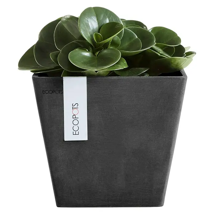 Ecopots Pflanzkasten Rotterdam - Außenmaß (L x B x H): 20 x 20 x 17,5 cm, Kunststoff, Dunkelgrau - Vorderansicht
