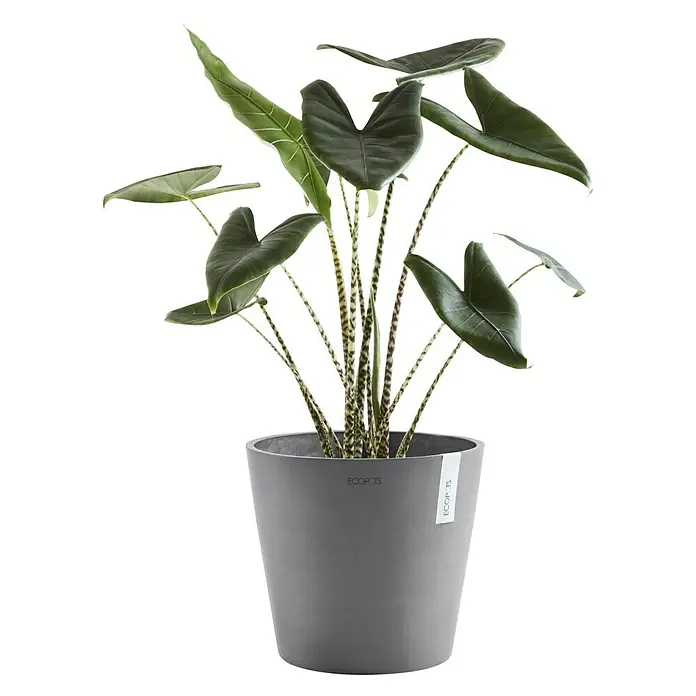 Ecopots Amsterdam Pflanztopf - Außenmaß (Ø x H): 30 x 26 cm, Kunststoff, Grau - Vorderansicht