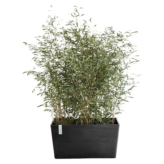Ecopots Pflanzkasten Paris - Außenmaß (L x B x H): 60 x 26 x 40 cm, Kunststoff, Dunkelgrau - Vorderansicht