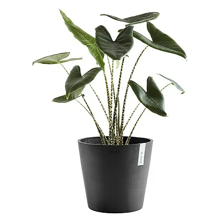 Ecopots Amsterdam Pflanztopf