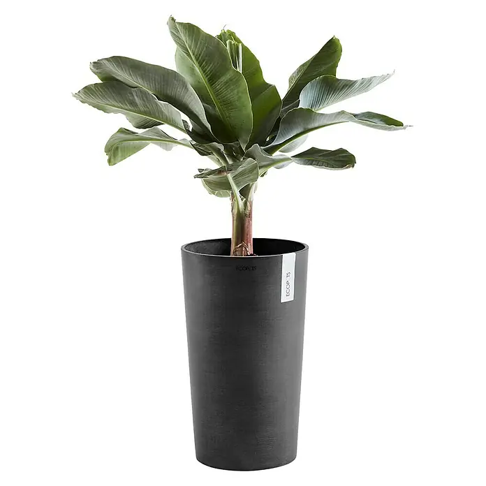 Ecopots Amsterdam Pflanzsäule rund - Außenmaß (Ø x H): 30 x 50 cm, Kunststoff, Dunkelgrau - Vorderansicht