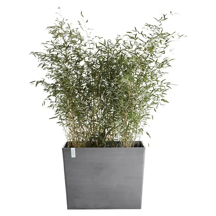 Ecopots Pflanzkasten Paris - Außenmaß (L x B x H): 85 x 40 x 65 cm, Kunststoff, Grau, Ausstattung Pflanzgefäß: Rollen - Vorderansicht