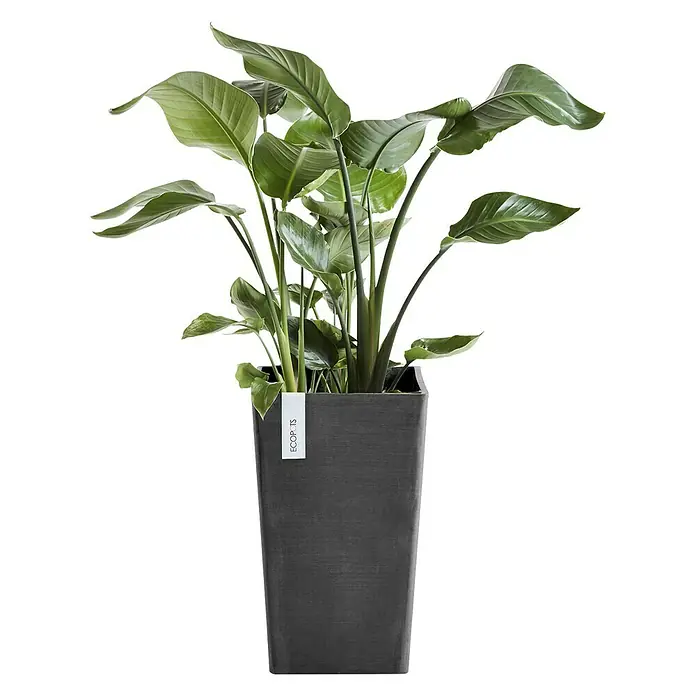 Ecopots Pflanzsäule eckig Rotterdam Medium - Außenmaß (L x B x H): 30 x 30 x 50 cm, Kunststoff, Dunkelgrau - Vorderansicht