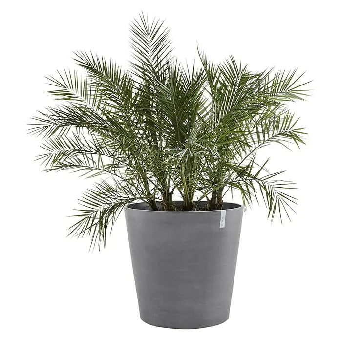 Ecopots Amsterdam Pflanzkübel rund - Außenmaß (Ø x H): 56 x 60 cm, Kunststoff, Grau, Ausstattung Pflanzgefäß: Rollen - Vorderansicht
