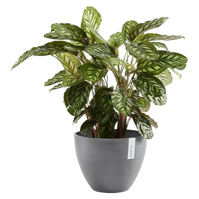 Ecopots Pflanztopf Antwerpen - Außenmaß (Ø x H): 30 x 25,5 cm, Kunststoff, Grau - Vorderansicht