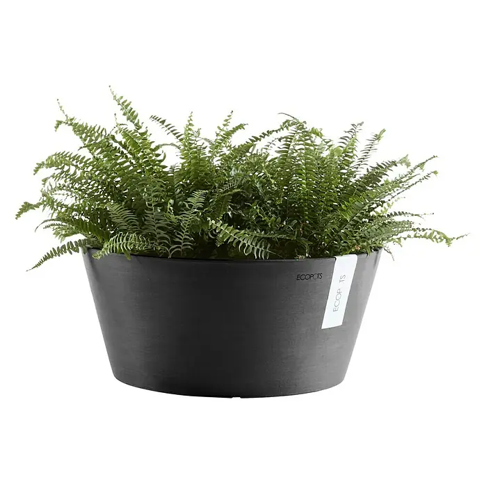 Ecopots Pflanzschale rund Amsterdam - Außenmaß (Ø x H): 30,5 x 15 cm, Kunststoff, Dunkelgrau - Vorderansicht