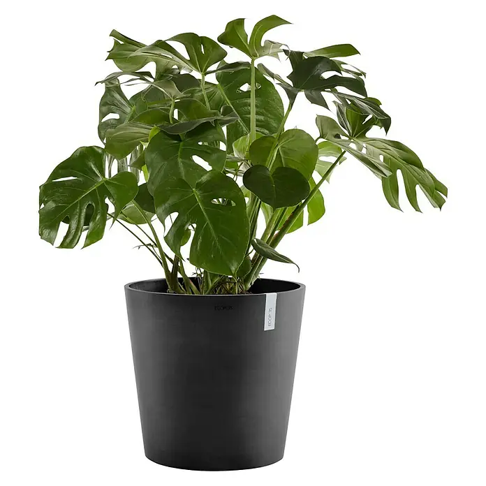 Ecopots Amsterdam Pflanztopf - Außenmaß (Ø x H): 50 x 44 cm, Kunststoff, Dunkelgrau - Vorderansicht