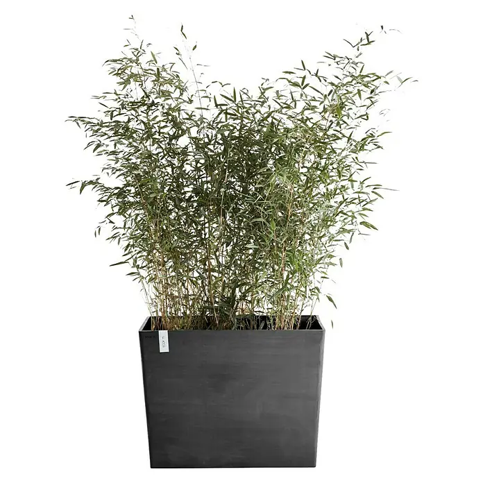 Ecopots Pflanzkasten Paris - Außenmaß (L x B x H): 85 x 40 x 65 cm, Kunststoff, Dunkelgrau, Ausstattung Pflanzgefäß: Rollen - Vorderansicht