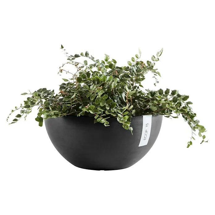 Ecopots Pflanzschale rund Brussels - Außenmaß (Ø x H): 25 x 12 cm, Kunststoff, Dunkelgrau - Vorderansicht