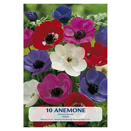Cvjetne lukovice Anemone