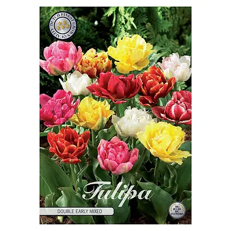 Cvjetne lukovice Tulipan Double Early Mixed