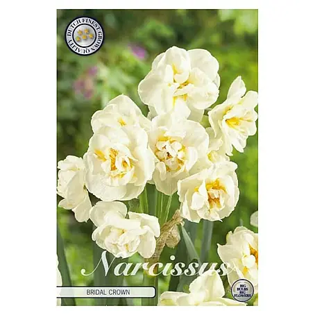 Cvjetne lukovice Narcisa Botanical Bridal Crown