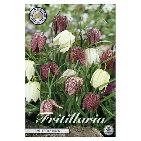 Cvjetne lukovice Fritillaria Meleagris mix