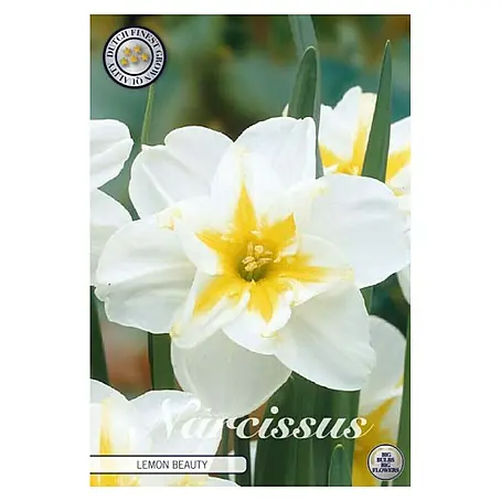 Cvjetne lukovice Narcisa Splitcrown Lemon Beauty
