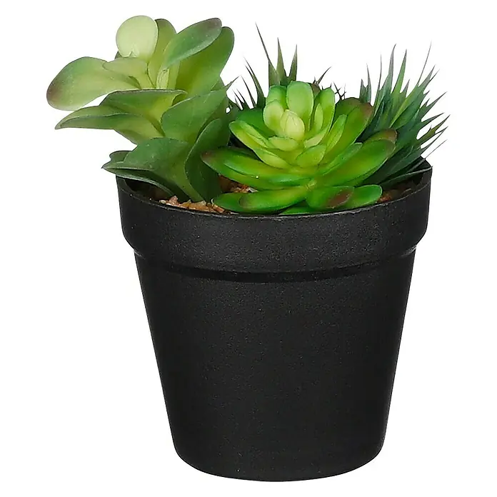 Planta artificial Suculenta verde - Altura: 18 cm, Plástico - Vista frontal