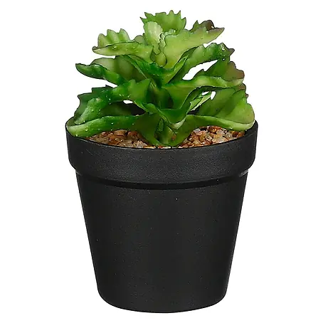 Planta artificial Suculenta verde