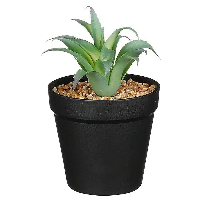Planta artificial Suculenta verde - Altura: 14 cm, Plástico - Vista frontal