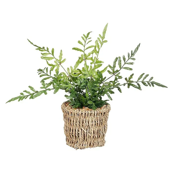 Planta artificial Helecho en cesta - Altura: 26 cm, Plástico - Vista frontal