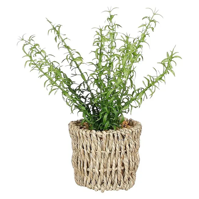 Planta artificial Esparraguera - Ø x Al: 10 x 26 cm, Plástico - Vista frontal