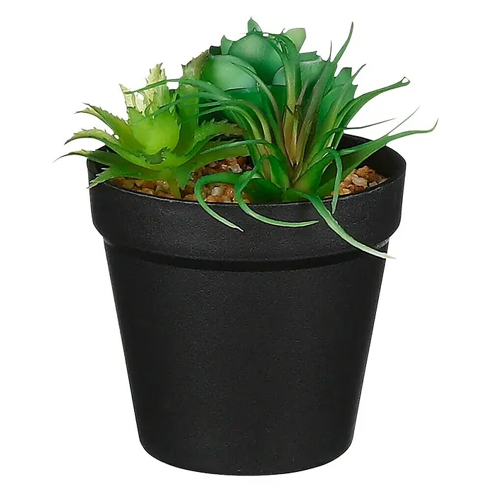 Planta artificial Suculenta verde - Altura: 13 cm, Plástico - Vista frontal