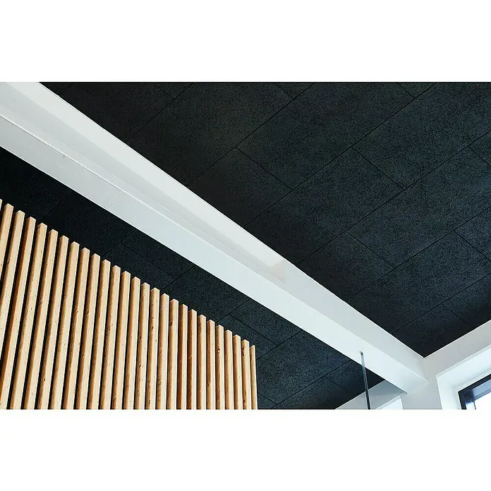 FibroTech Akustikplatte Multi Fein - Tiefschwarz, 1.200 x 600 x 25 mm, 1 Paneel - Stimmungsaufnahme