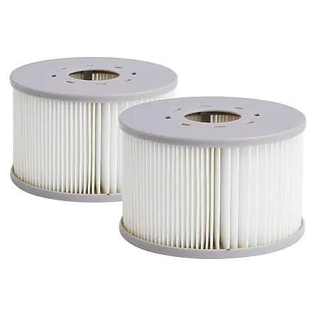 MSpa  Zamjenski filter