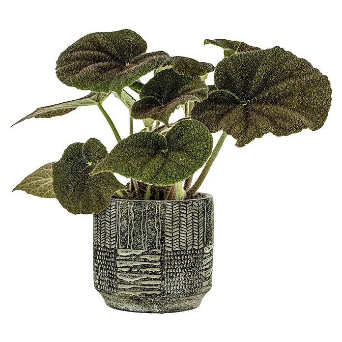 Übertopf rund Lynn - Außenmaß (Ø x H): 15 x 14 cm, Grün, Beton - Vorderansicht