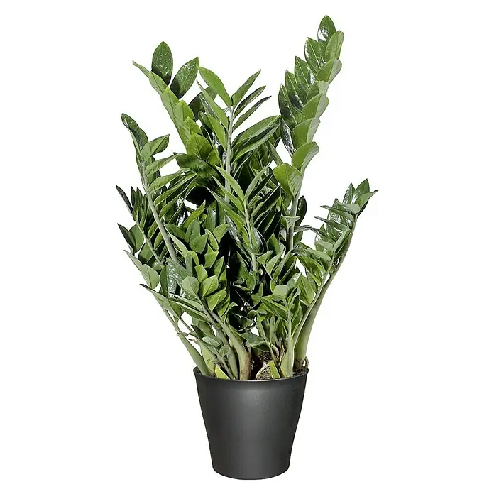 Geli Übertopf rund Casablanca - Max. Außendurchmesser: 30 cm, Anthrazit Metallic - Vorderansicht