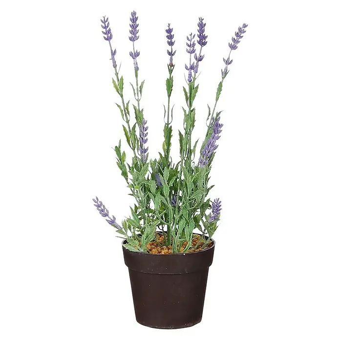Planta artificial Lavanda con hojas - 11 x 32 cm, Lila, Plástico - Vista frontal