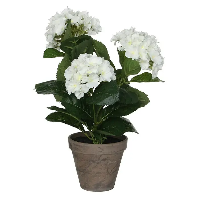 Planta artificial Hortensia - Altura: 40 cm, Blanca, Plástico - Vista frontal