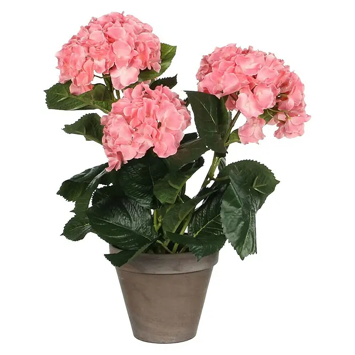Planta artificial Hortensia - Altura: 40 cm, Rosa, Plástico - Vista frontal