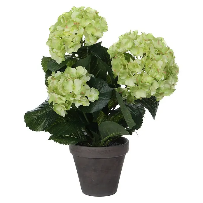 Planta artificial Hortensia - Altura: 40 cm, Verde, Plástico - Vista frontal