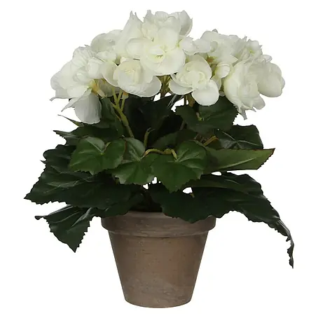 Planta artificial Begonia