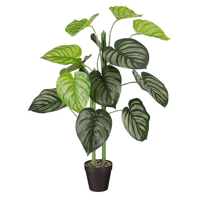Planta artificial Caladium - Altura: 100 cm, Plástico - Vista frontal