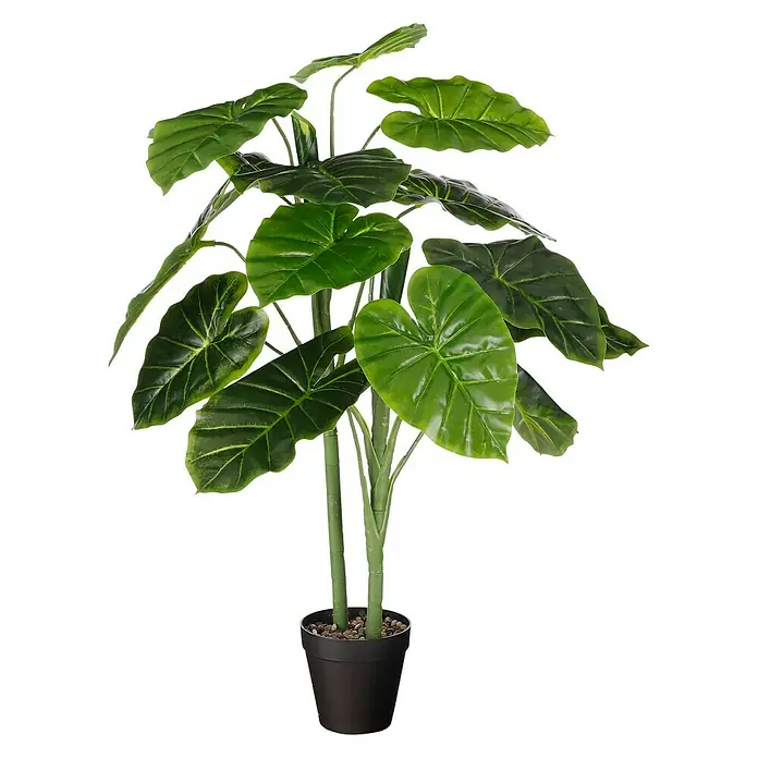 Planta artificial Alocasia - Altura: 100 cm, Plástico - Vista frontal