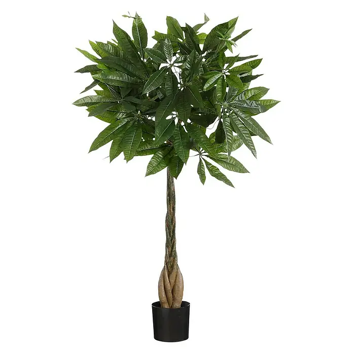Planta artificial Pachira - Altura: 80 cm, Plástico - Vista frontal